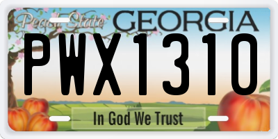 GA license plate PWX1310