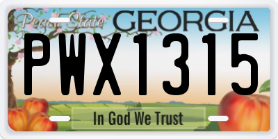GA license plate PWX1315