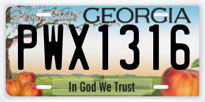 GA license plate PWX1316