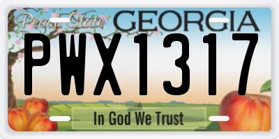 GA license plate PWX1317