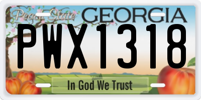 GA license plate PWX1318