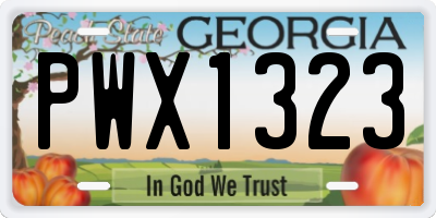 GA license plate PWX1323