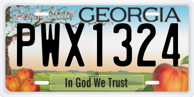 GA license plate PWX1324