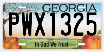 GA license plate PWX1325
