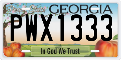 GA license plate PWX1333