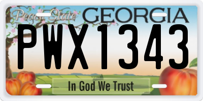 GA license plate PWX1343