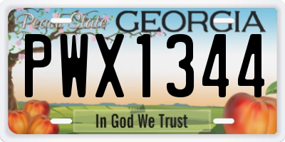 GA license plate PWX1344