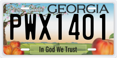 GA license plate PWX1401