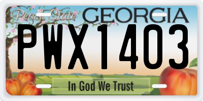 GA license plate PWX1403