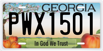 GA license plate PWX1501