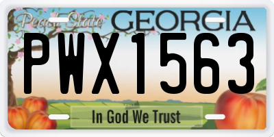 GA license plate PWX1563