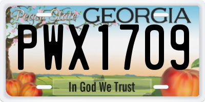 GA license plate PWX1709