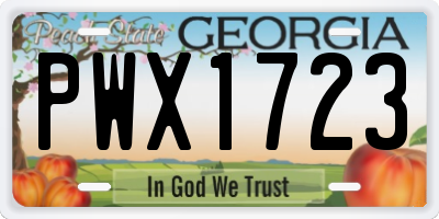 GA license plate PWX1723