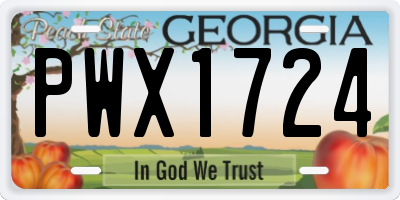 GA license plate PWX1724