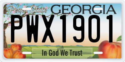 GA license plate PWX1901