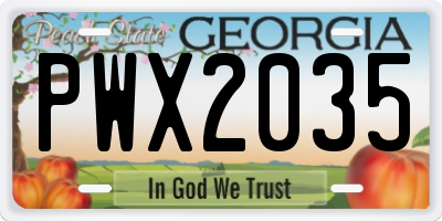 GA license plate PWX2035