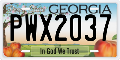 GA license plate PWX2037