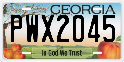 GA license plate PWX2045