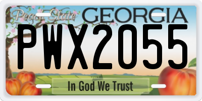 GA license plate PWX2055