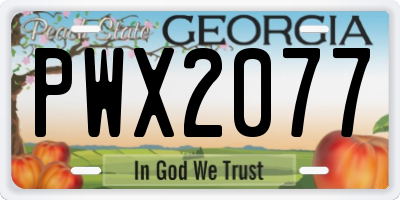 GA license plate PWX2077
