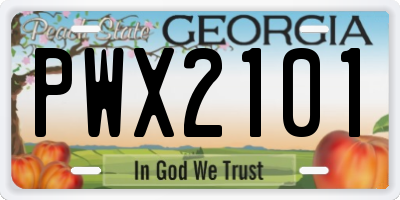 GA license plate PWX2101