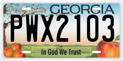 GA license plate PWX2103