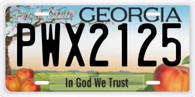 GA license plate PWX2125