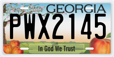 GA license plate PWX2145