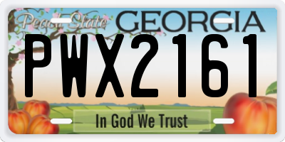 GA license plate PWX2161