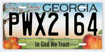 GA license plate PWX2164