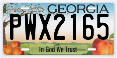 GA license plate PWX2165
