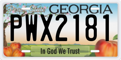 GA license plate PWX2181