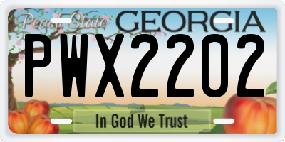 GA license plate PWX2202