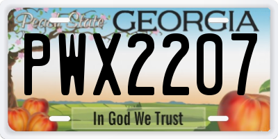 GA license plate PWX2207
