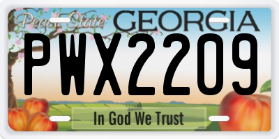 GA license plate PWX2209