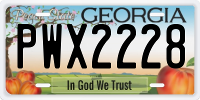GA license plate PWX2228