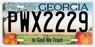 GA license plate PWX2229