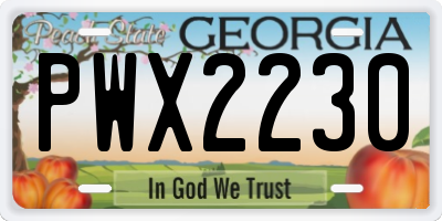 GA license plate PWX2230