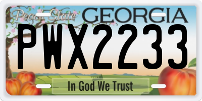 GA license plate PWX2233