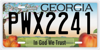 GA license plate PWX2241