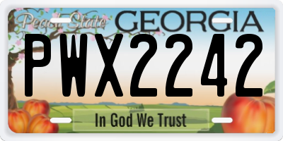 GA license plate PWX2242
