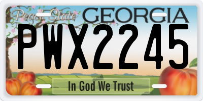 GA license plate PWX2245