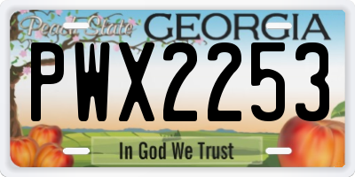 GA license plate PWX2253