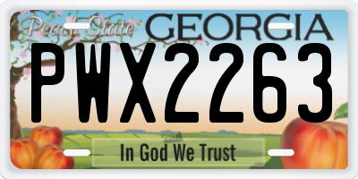 GA license plate PWX2263