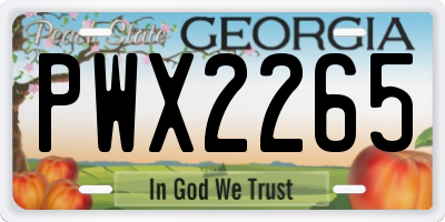 GA license plate PWX2265