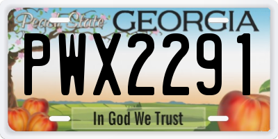 GA license plate PWX2291