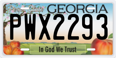 GA license plate PWX2293