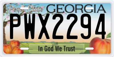 GA license plate PWX2294