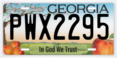 GA license plate PWX2295