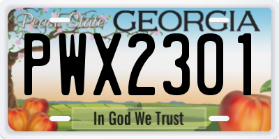 GA license plate PWX2301